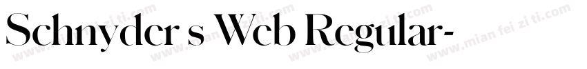Schnyder s Web Regular字体转换